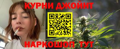 гидра Будённовск