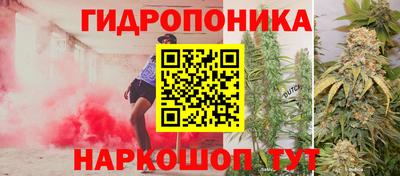 гидра Будённовск