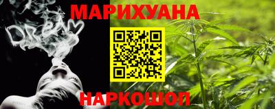 гидра Будённовск