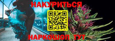 гидра Будённовск