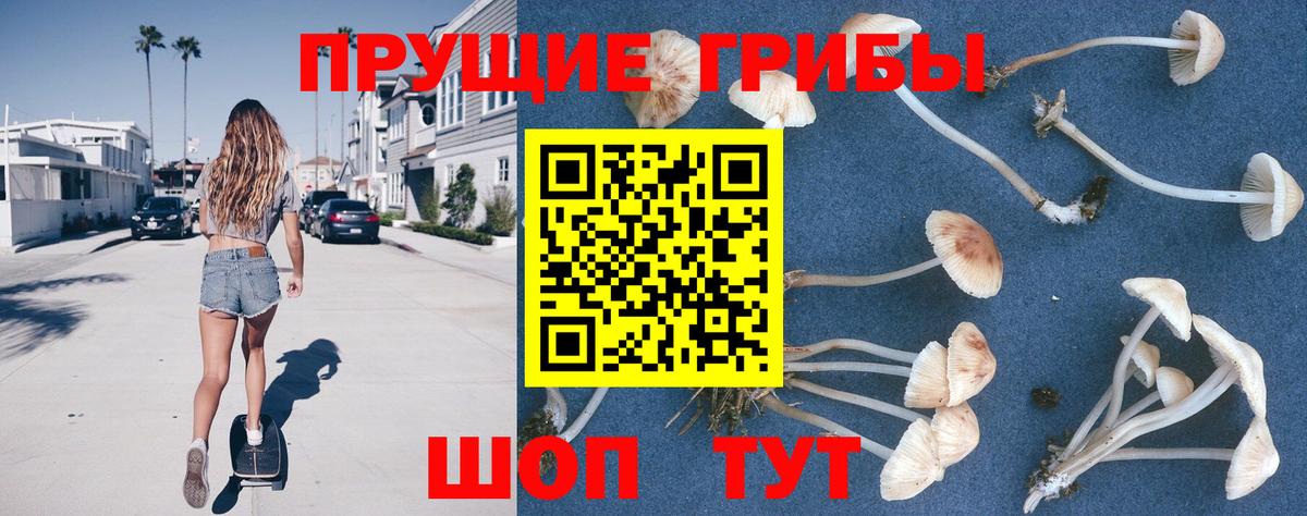 Саратов  Галлюциногенные грибы прущие грибы  Галлюциногенные грибы Psilocybe  Вход с VPN 