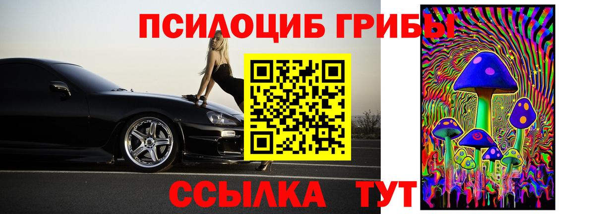 Псилоцибиновые грибы MAGIC MUSHROOMS Саратов